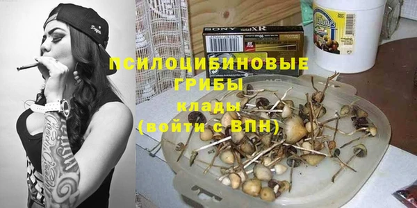 трава Абаза